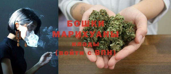 ешки Семилуки