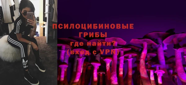 спиды Мегион