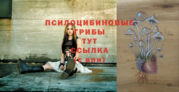 спиды Мегион