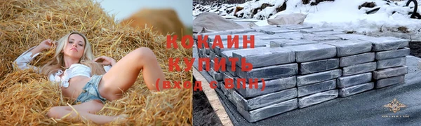 ешки Семилуки