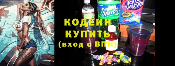 молекула духа Семёнов