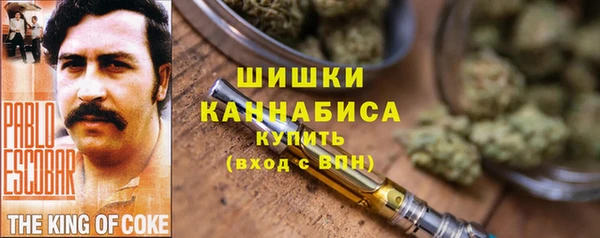 молекула духа Семёнов