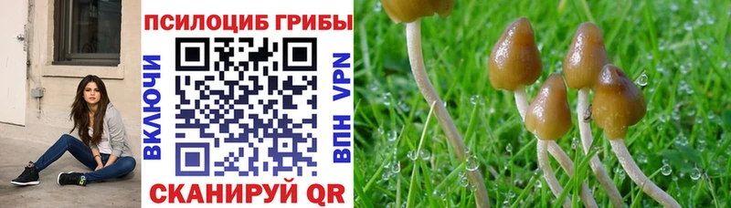 Галлюциногенные грибы ЛСД  Котельнич 